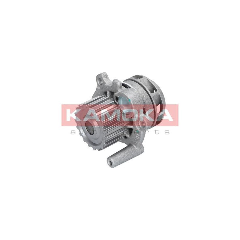 Pompa apa KAMOKA T0034