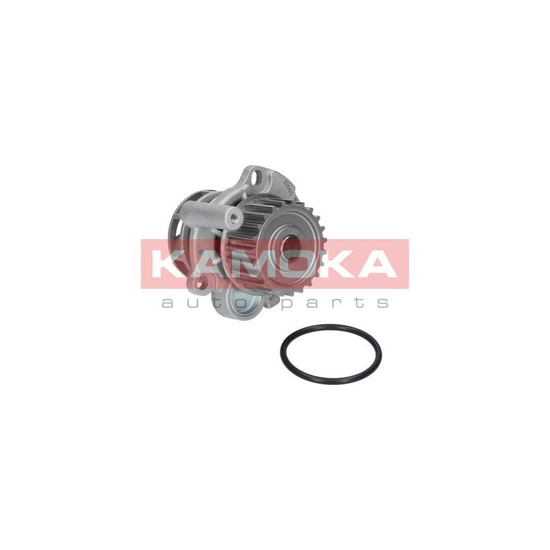Pompa apa KAMOKA T0033