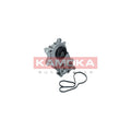 Pompa apa KAMOKA T0286