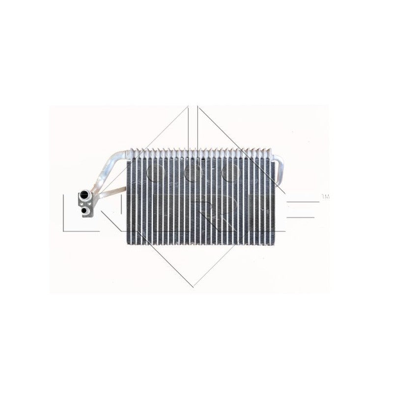 Vaporizator clima NRF 36157