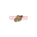 Senzor temperatura lichid racire KAMOKA 4080049