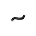 Furtun intercooler BUGIAD 81662