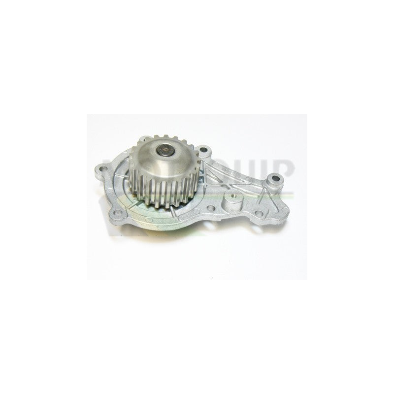 Pompa apa MOTAQUIP VWP781