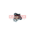 Termostat KAMOKA 7710098