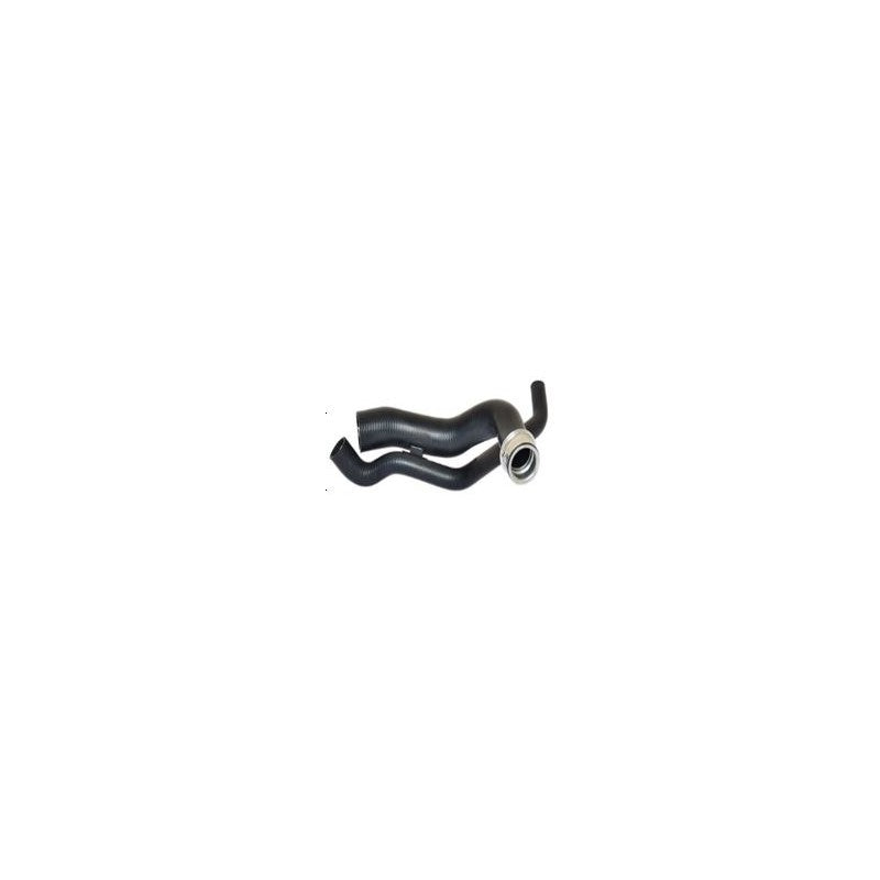 Furtun radiator MTR 12118794