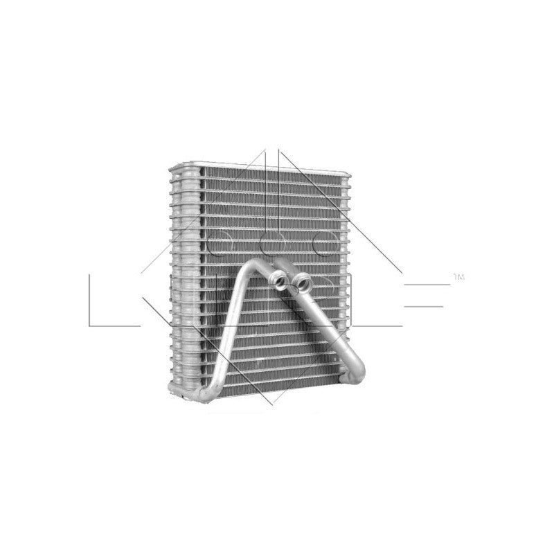 Vaporizator clima NRF 36160