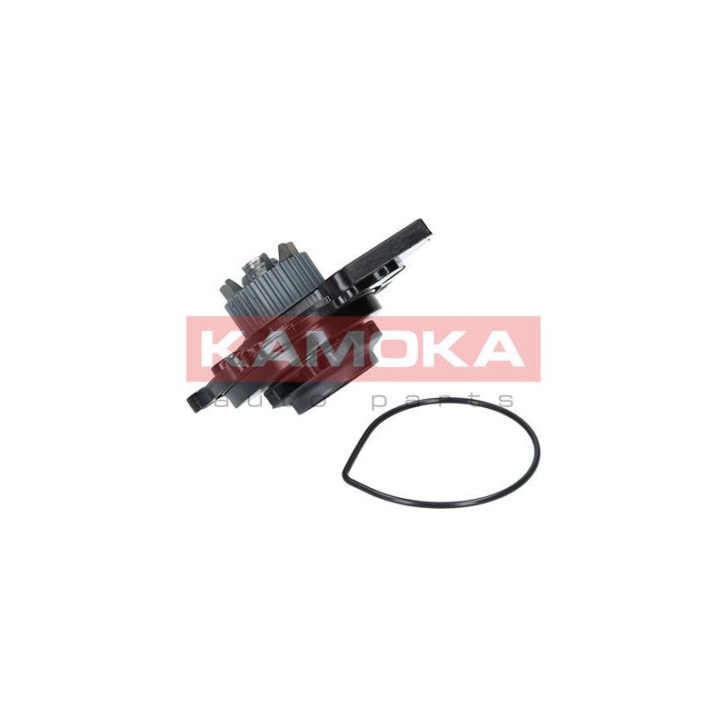 Pompa apa KAMOKA T0031