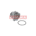 Pompa apa KAMOKA T0234