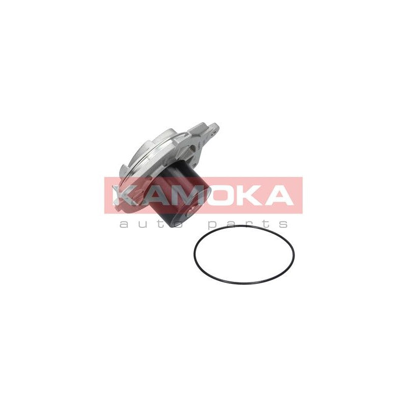Pompa apa KAMOKA T0002