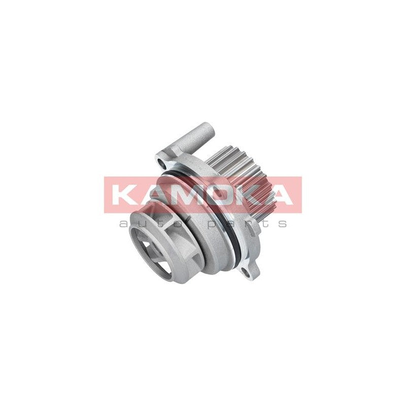 Pompa apa KAMOKA T0029