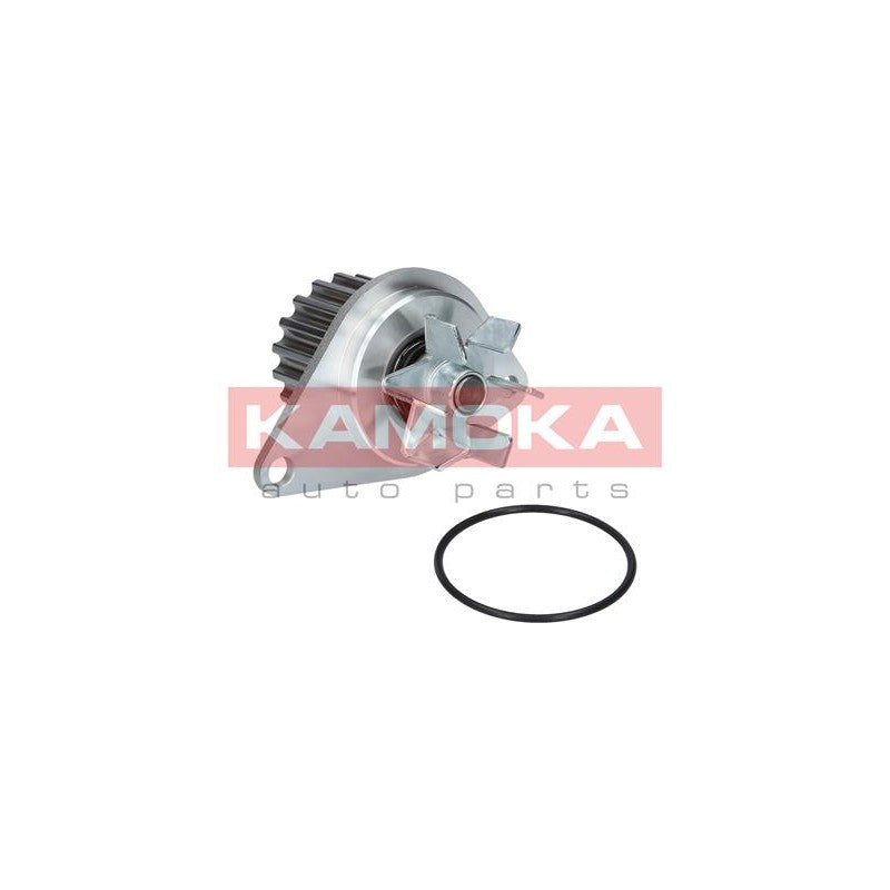 Pompa apa KAMOKA T0089