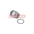 Pompa apa KAMOKA T0249