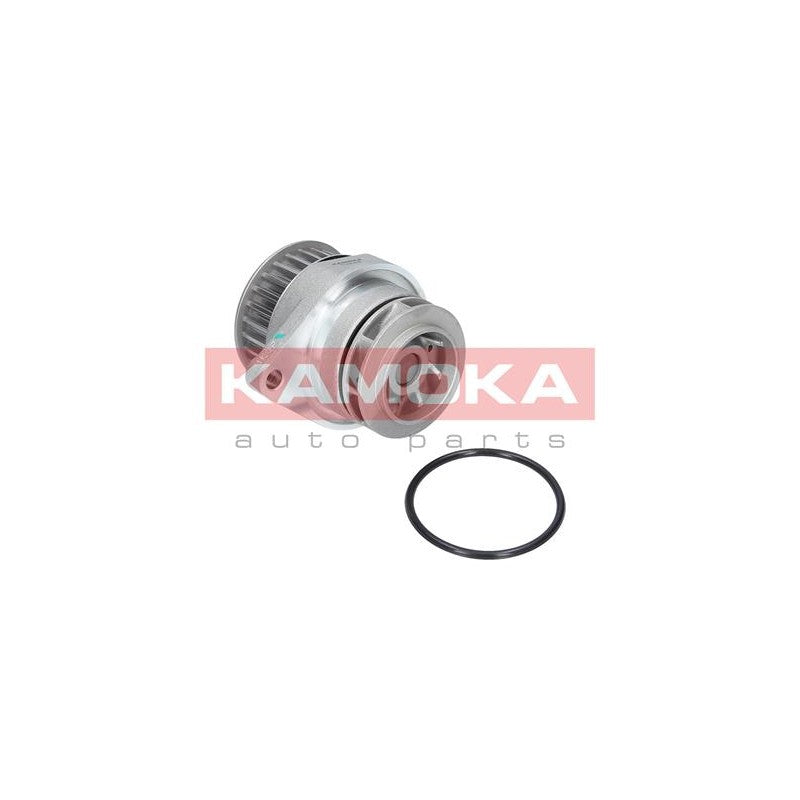 Pompa apa KAMOKA T0249
