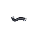 Furtun intercooler BUGIAD 86609