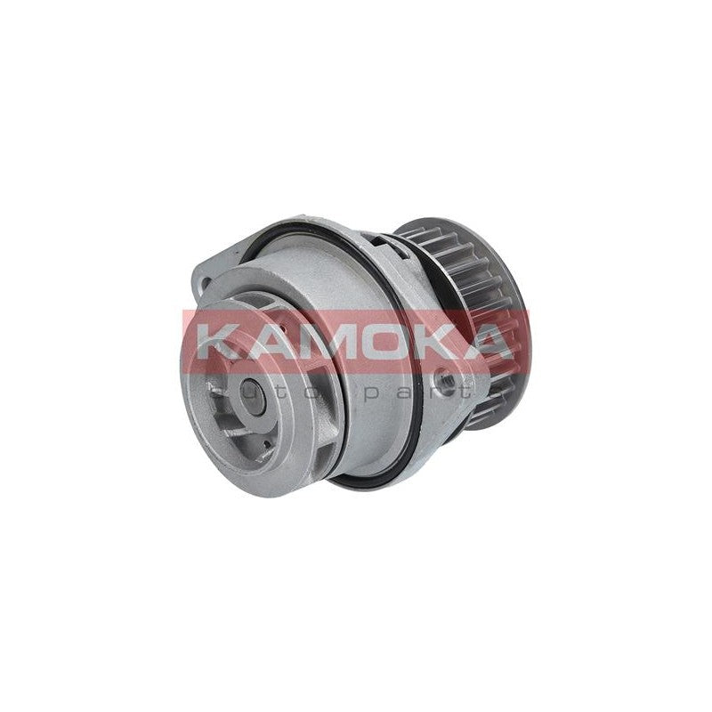 Pompa apa KAMOKA T0024