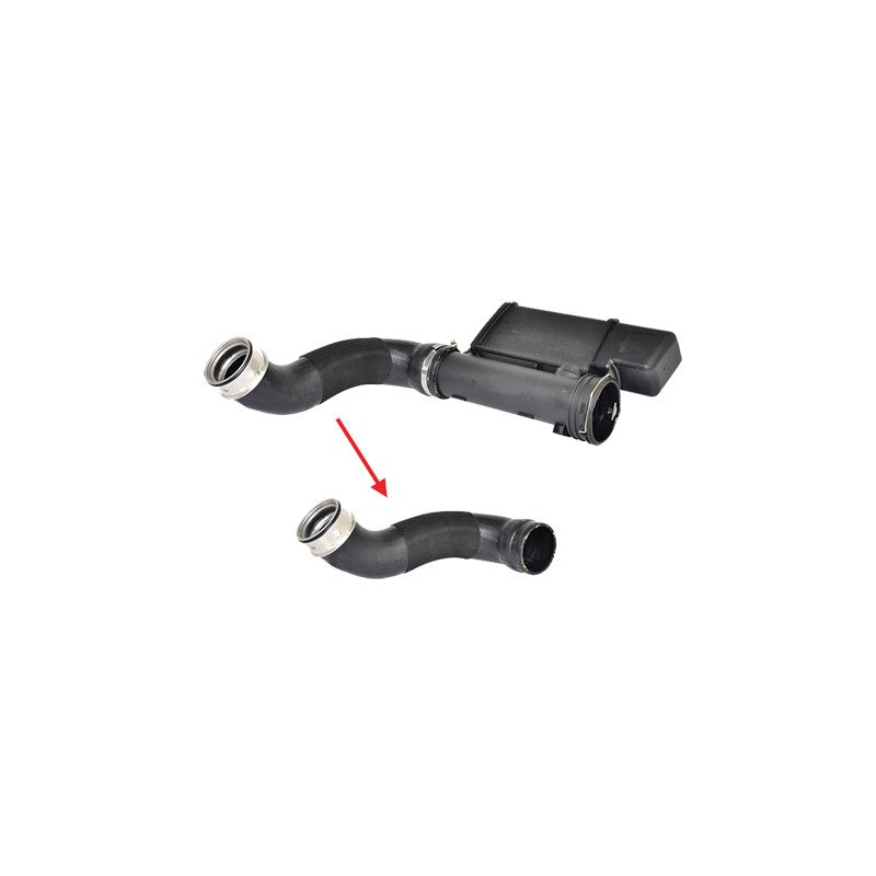 Furtun intercooler BUGIAD 88594
