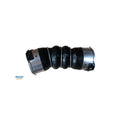 Furtun intercooler BUGIAD 82209