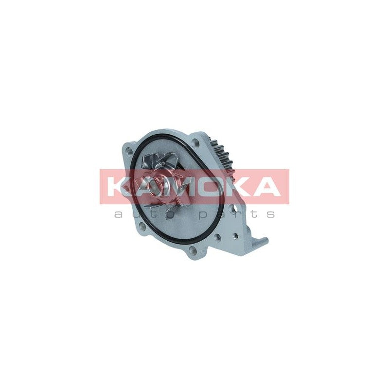 Pompa apa KAMOKA T0174