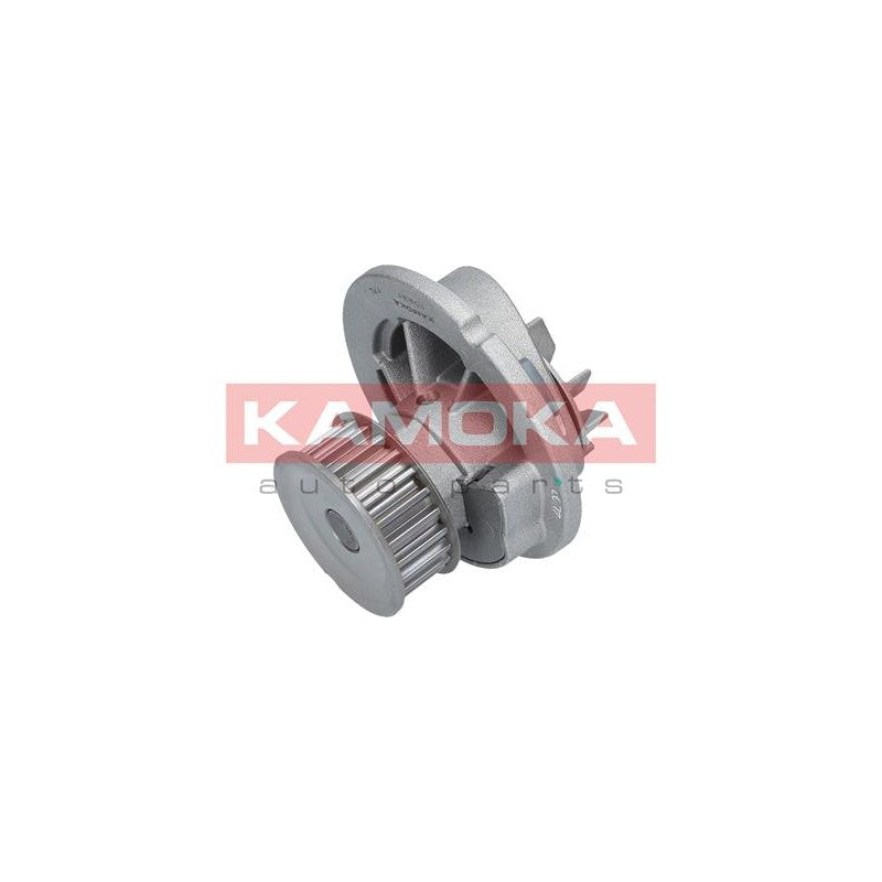 Pompa apa KAMOKA T0231