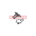 Pompa apa KAMOKA T0277