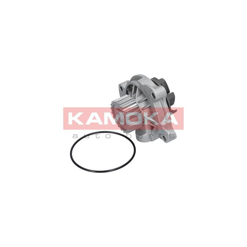 Pompa apa KAMOKA T0042