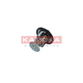 Termostat KAMOKA 7710162
