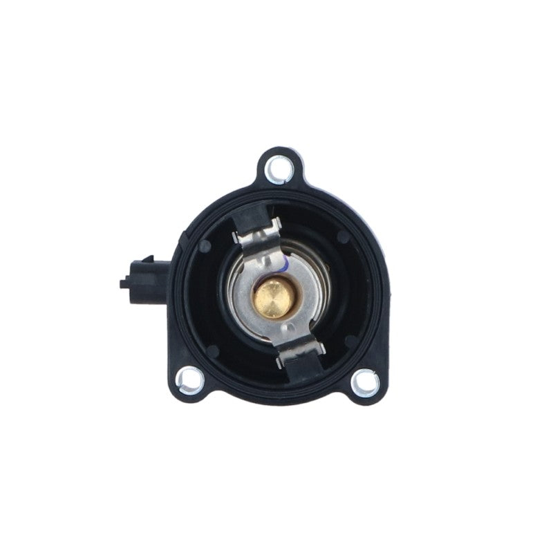 Termostat NRF 725024