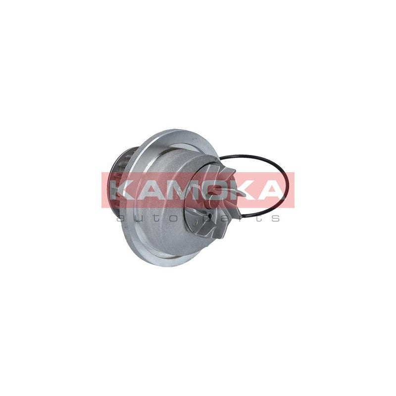 Pompa apa KAMOKA T0235