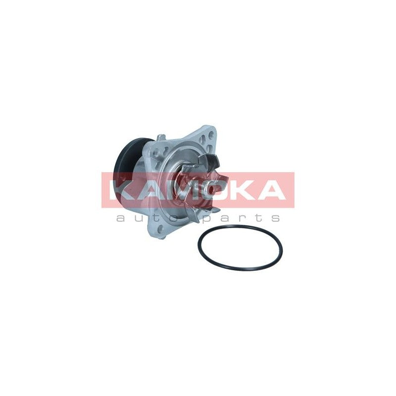 Pompa apa KAMOKA T0309