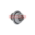 Pompa apa KAMOKA T0070