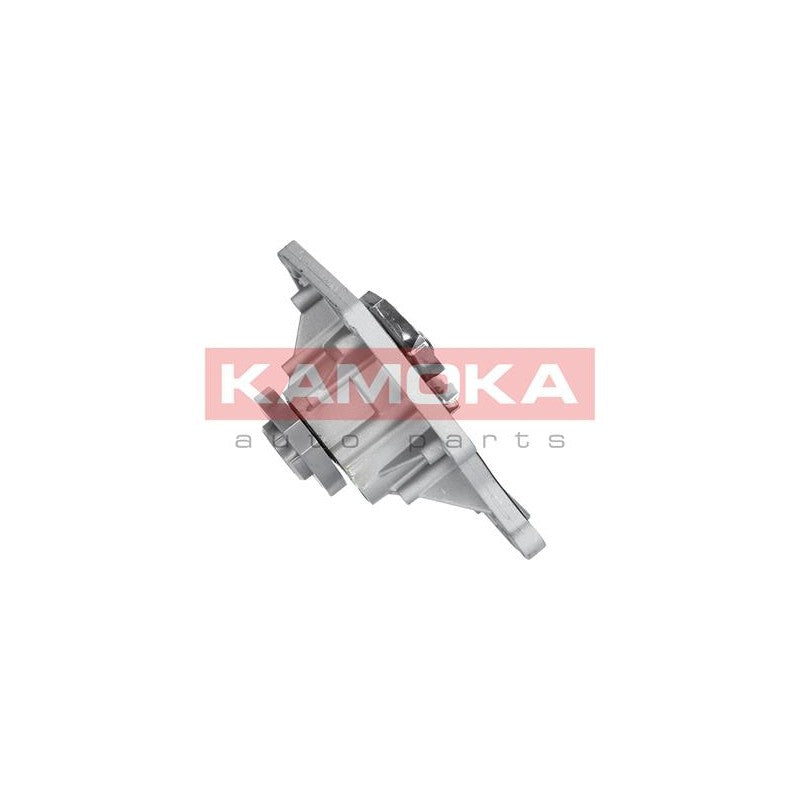 Pompa apa KAMOKA T0035