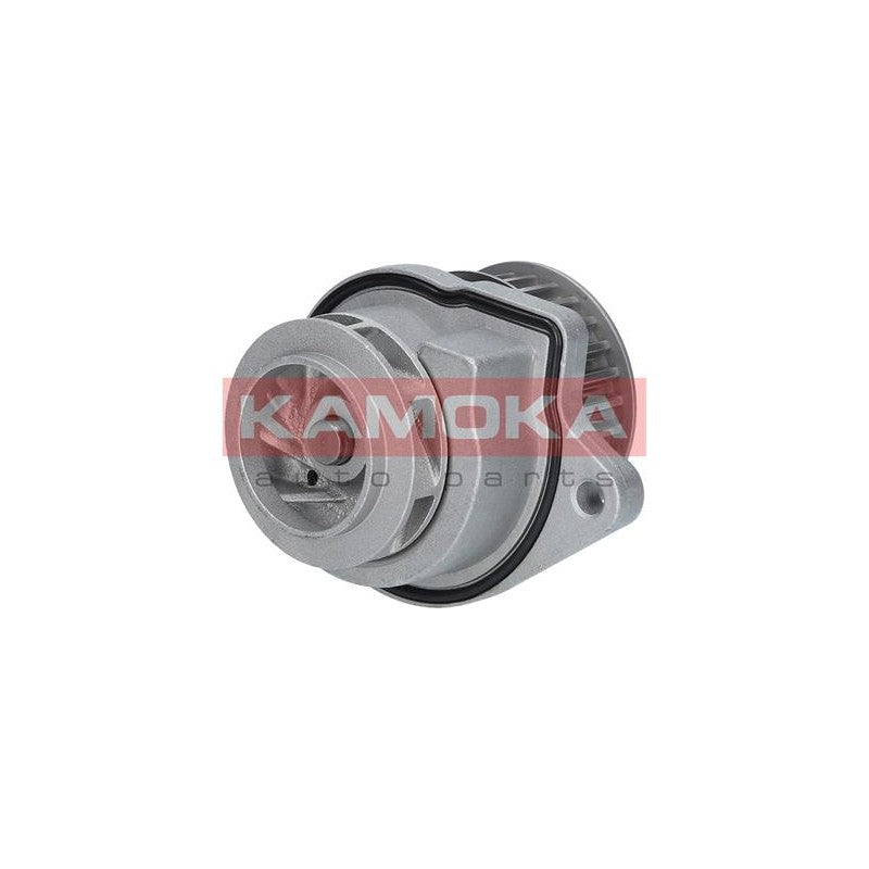 Pompa apa KAMOKA T0248