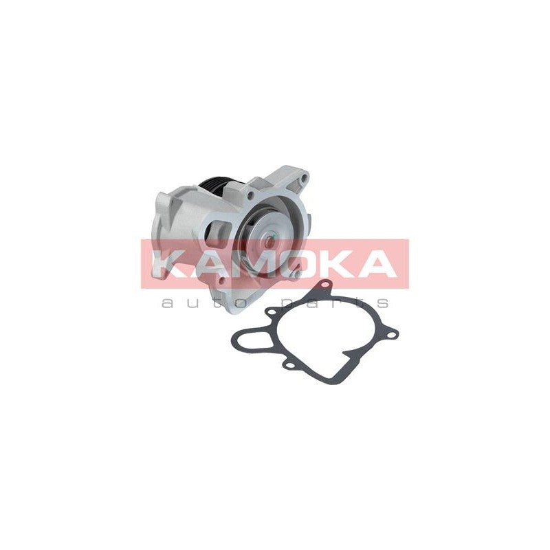 Pompa apa KAMOKA T0173