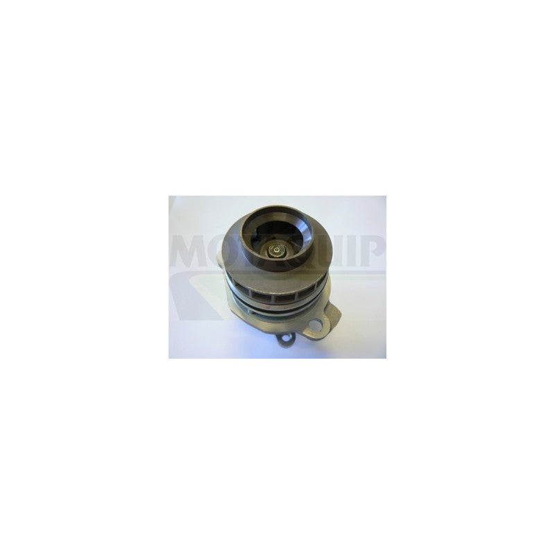 Pompa apa MOTAQUIP VWP870