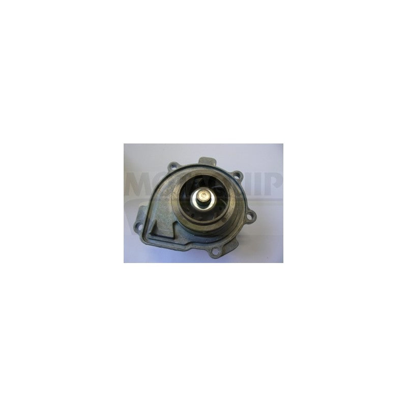 Pompa apa MOTAQUIP VWP876