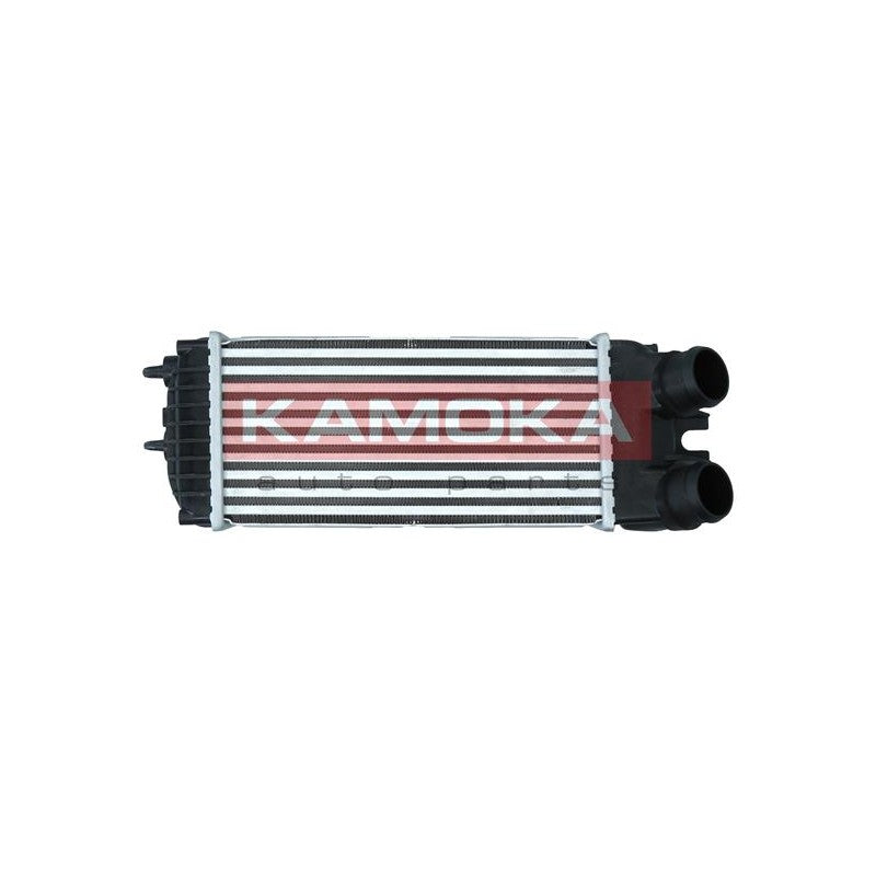 Intercooler KAMOKA 7750049
