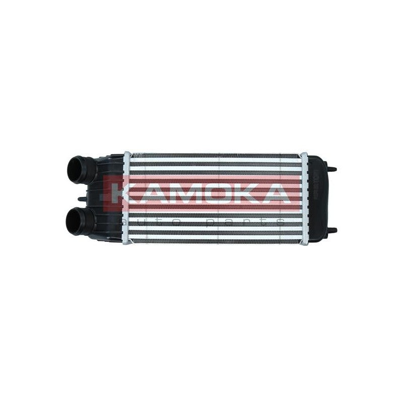 Intercooler KAMOKA 7750068