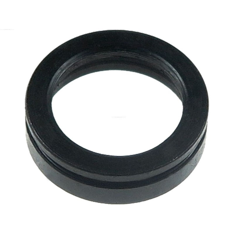 Kit reparatie electromotor AS-PL SRS3032