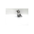 Electromotor MTR 13462727