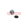 Fulie alternator KAMOKA RC134
