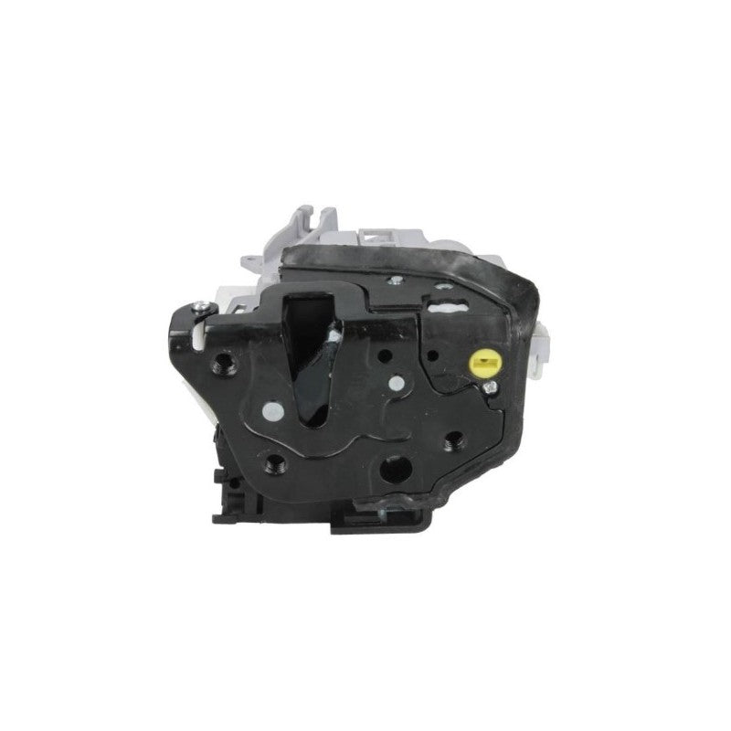 Broasca usa MTR 12204601