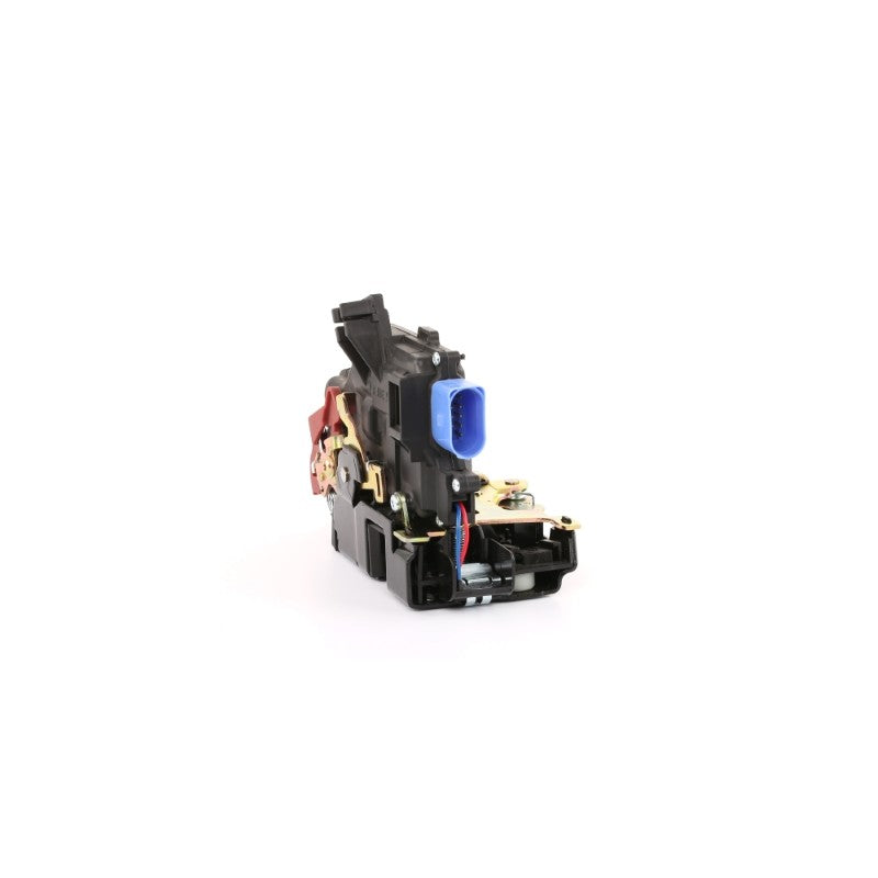 Broasca usa MTR 12115315