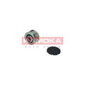 Fulie alternator KAMOKA RC020