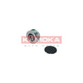 Fulie alternator KAMOKA RC019