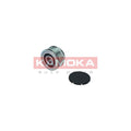 Fulie alternator KAMOKA RC060