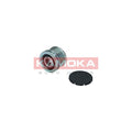 Fulie alternator KAMOKA RC069
