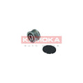 Fulie alternator KAMOKA RC138