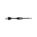 Planetara MTR 13216911