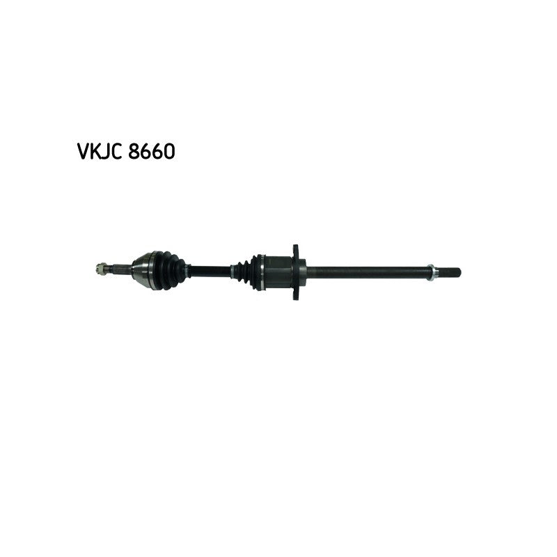 Planetara SKF VKJC 8660
