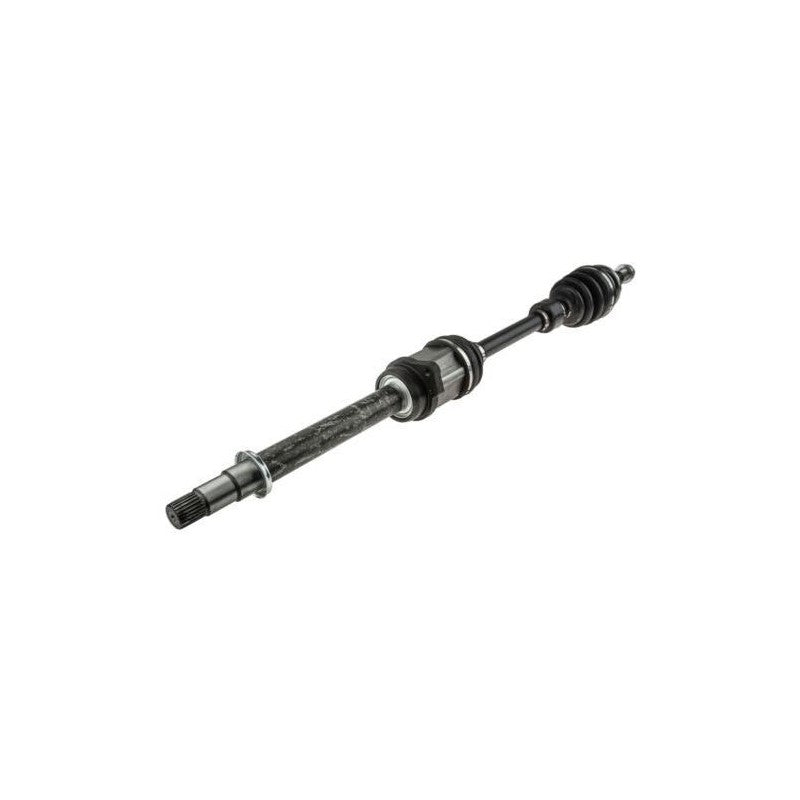 Planetara MTR 12203960